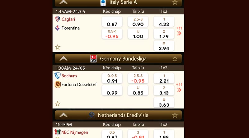 Ví dụ kèo cược chấp tại Sunwin