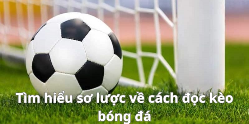 Mẹo đánh rồng hổ - Hướng dẫn từ A đến Z để thành công 9 Tìm hiểu sơ lược về cách đọc kèo bóng đá