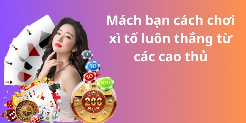 Mách bạn cách chơi xì tố luôn thắng từ các cao thủ